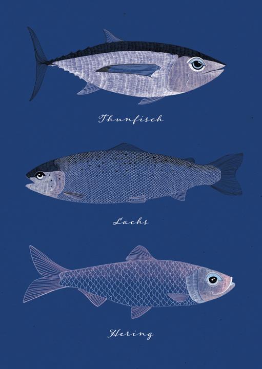 Produktbild meer-verliebt "Fische"