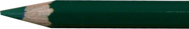Actual product image Caran d'Ache Colour Pencil Pablo Dark Green 229 (Dark green)