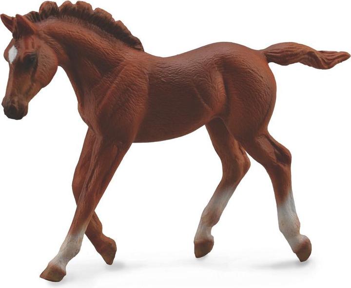 Immagine prodotto Collecta Puledro purosangue