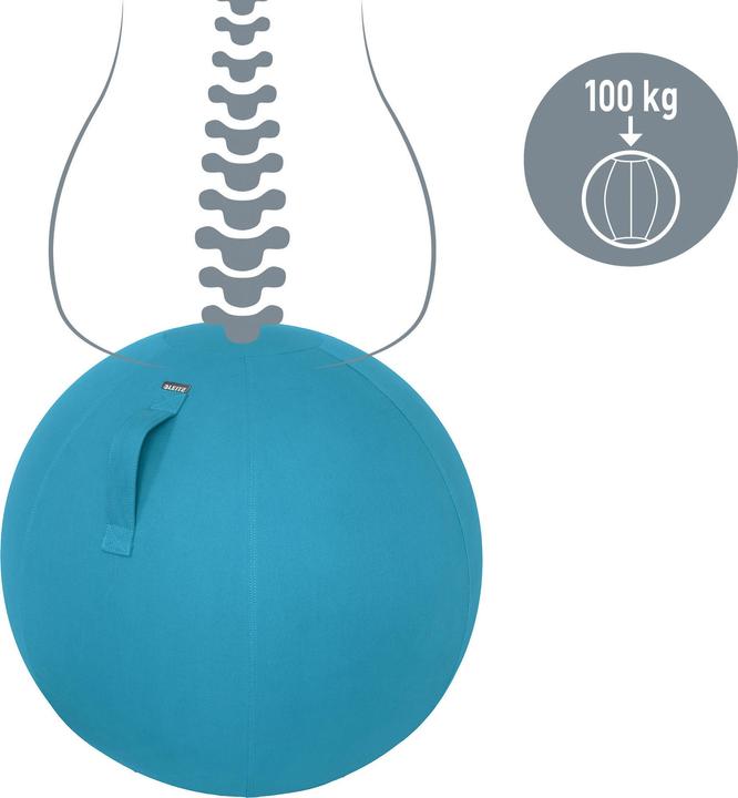 Actual product image Leitz Ergo Cosy Active sitting ball (65 cm)