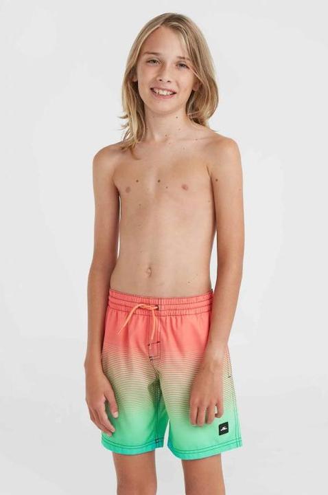 Produktbild O'Neill Jack Cali Gradient 14" Swim Shorts (152)