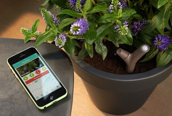 Immagine prodotto Parrot Sensore WiFi Flower Power