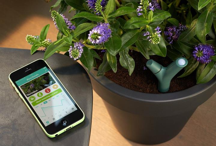Actual product image Parrot Flower Power plant sensor
