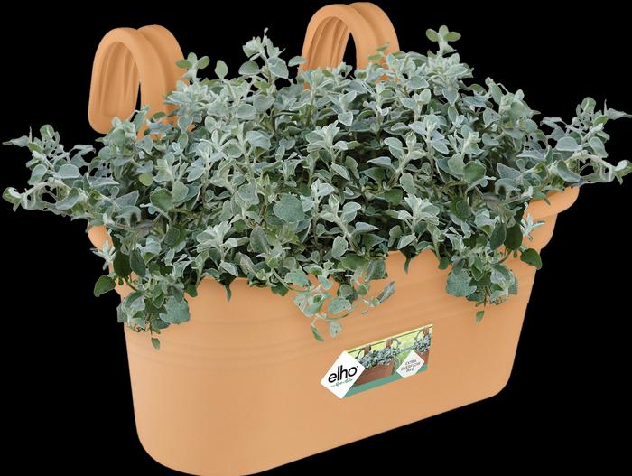 Image du produit Elho Bac à plantes Easy Hanger Green Basics, ovale, 26x36x25,7 cm, en plastique en terracotta (26.20 cm)