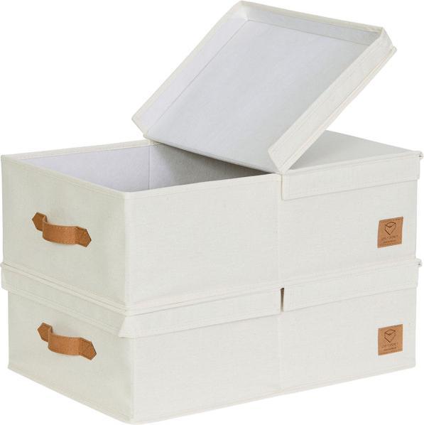Love it Store it Premium hinged lid box set of 2 - flat (33 x 50 x 16 cm, 26.50 l)