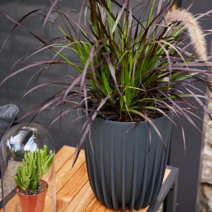 Immagine prodotto Siena Garden Fioriera (19 cm)