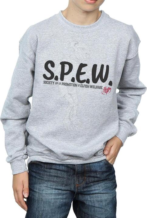 Actual product image Boys Dobby SPEW Sweatshirt (116)