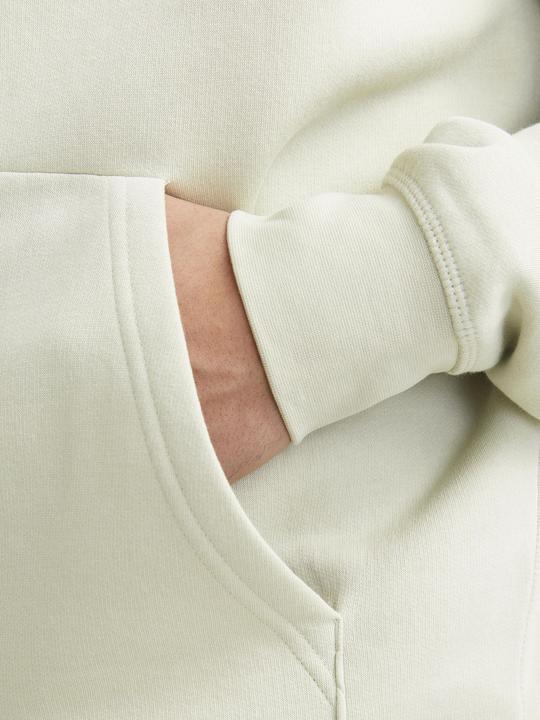 Image du produit Jack & Jones Jorroxbury Back Sweat Hood Ln (L)