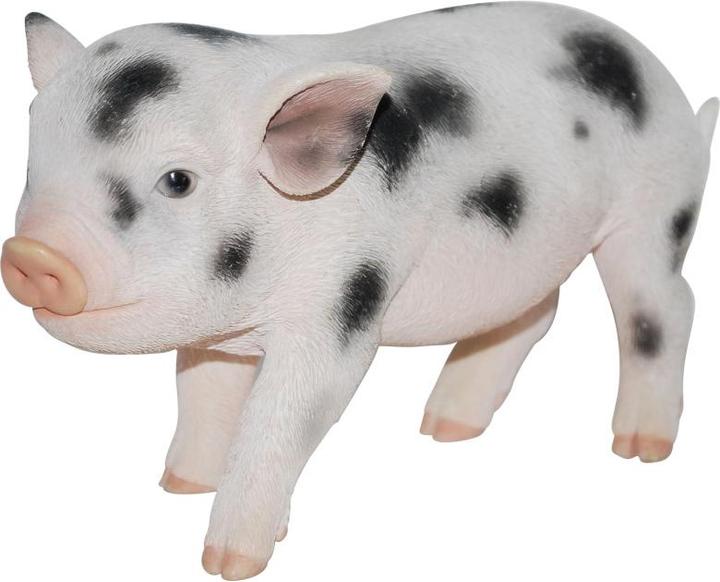 Image du produit Mini-porc