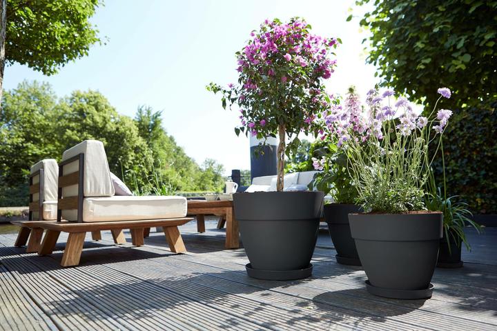 Actual product image Elho Pflanztopf Vibia Campana 55 cm anthrazit (54.50 cm)
