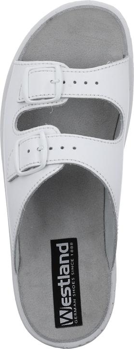 Actual product image Westland 31305-95 (40)