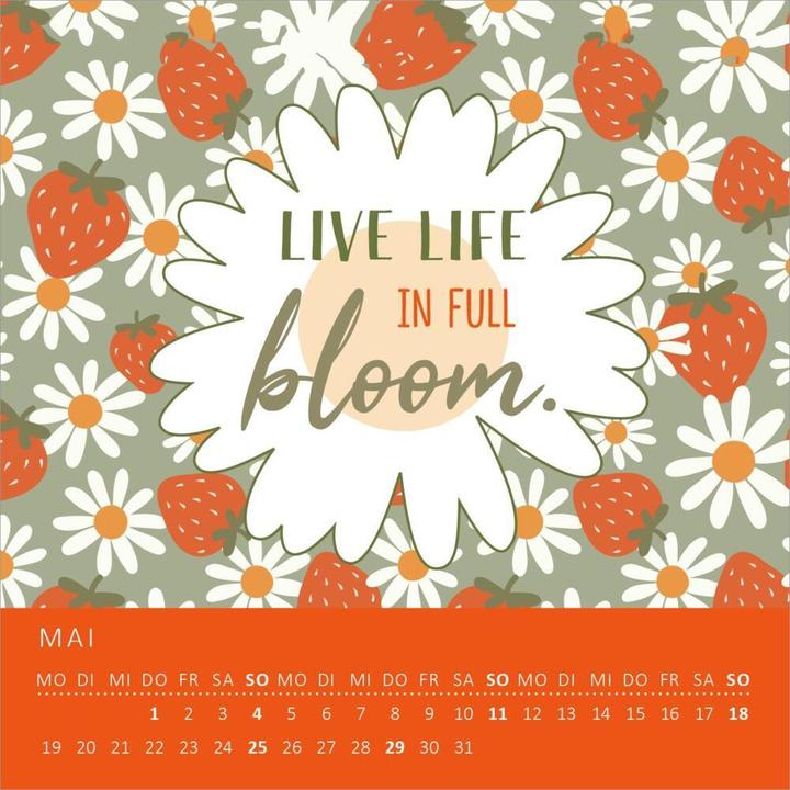 Image du produit Mini calendrier mensuel "A quel point es-tu fantastique? 2025 (11,5 x 11,5 cm, Couverture rigide, Allemand)