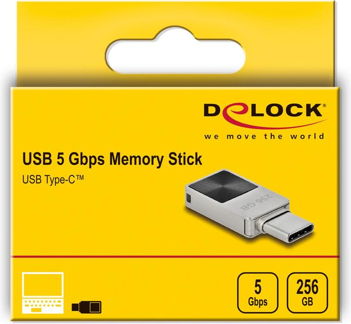 Actual product image Delock Mini (256 GB, USB-C)