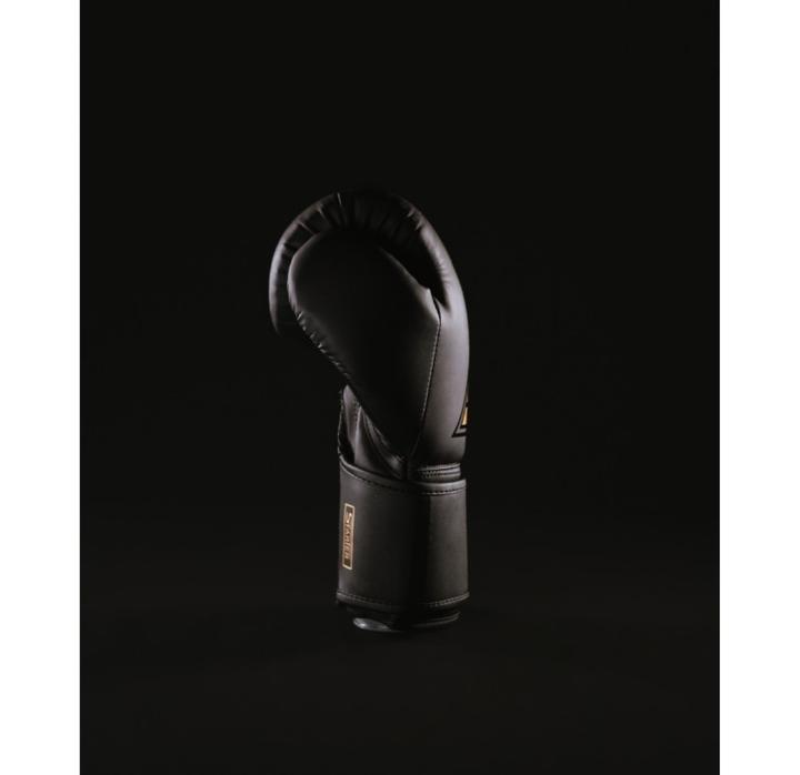 Image du produit MetalBoxe Gants de Boxe Entrainement Starter (14 OZ)