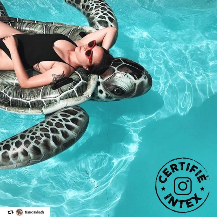 Immagine prodotto Intex Tartaruga marina realistica