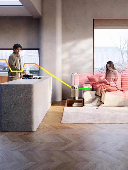 Actual product image Dyson Purifier Hot+Cool HP2 De-Nox (27 m²)