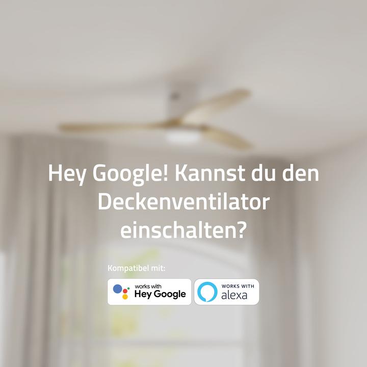 Immagine prodotto Hombli Deckenventilator mit Licht (43 dB)