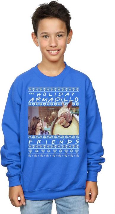 Actual product image Friends Boys Fair Isle Holiday Armadillo Sweatshirt (140, 146)