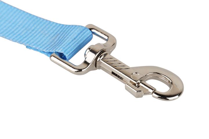 Actual product image Mamutec Webbing Polyester blue 25 mm, 100 m