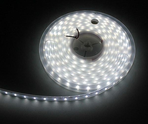 Actual product image Synergy 21 LED Flex Strip cool white DC12V 24W IP65 (White, 500 cm, Indoor, Outdoor)