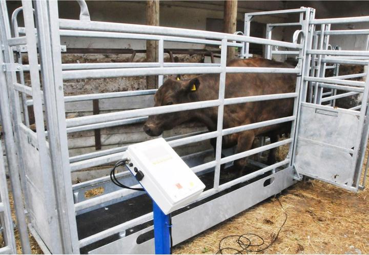Produktbild Kerbl Tischwaage digital 30 kg