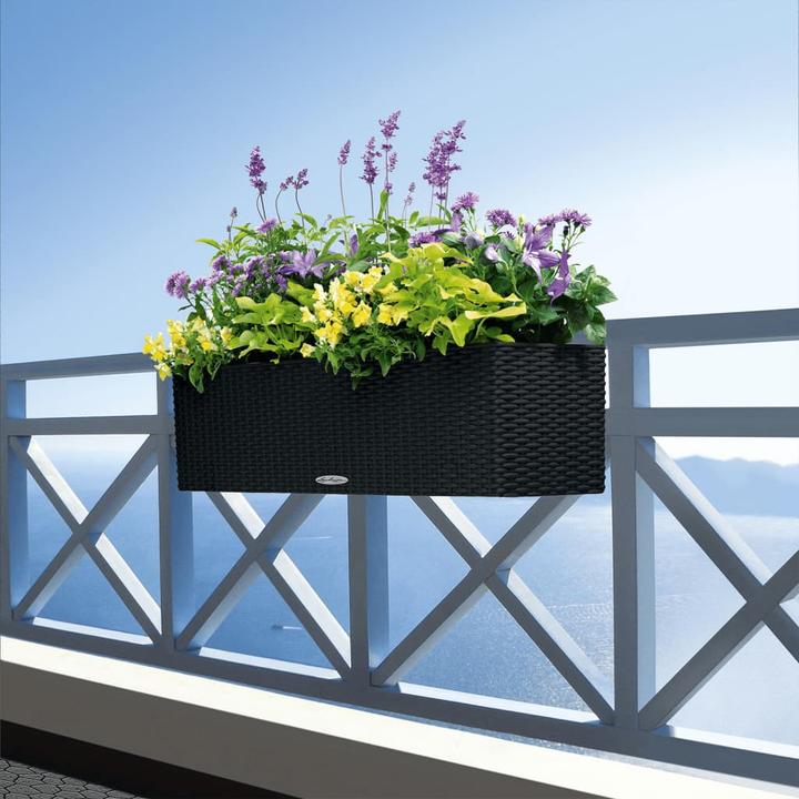 Immagine prodotto Lechuza Balconera Cottage (19 cm)