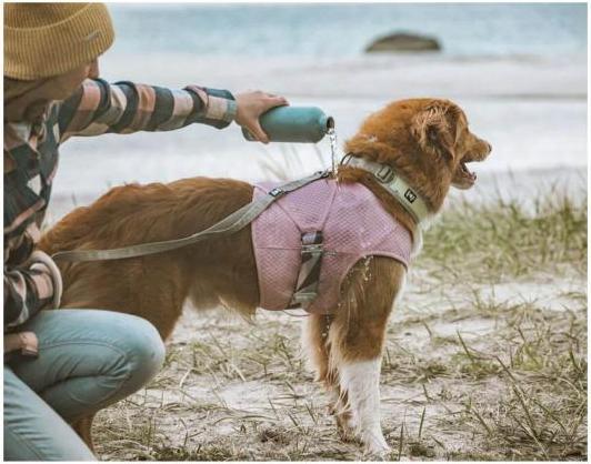 Immagine prodotto Hurtta Gilet refrigerante Cooling Wrap, chiodo di garofano, 40 - 50 cm (XS, Gilet per cani)