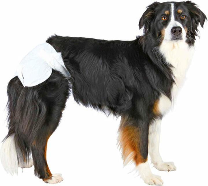 Immagine prodotto Trixie Pannolini per cagne XL 12pz (Cane)