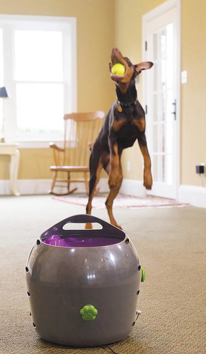 Produktbild PetSafe Ballwerfer (Ballspielzeug Hund)