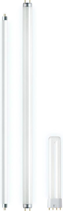 Immagine prodotto Osram Tubo (G5, 54 W, 4450 lm, 1 x, F)