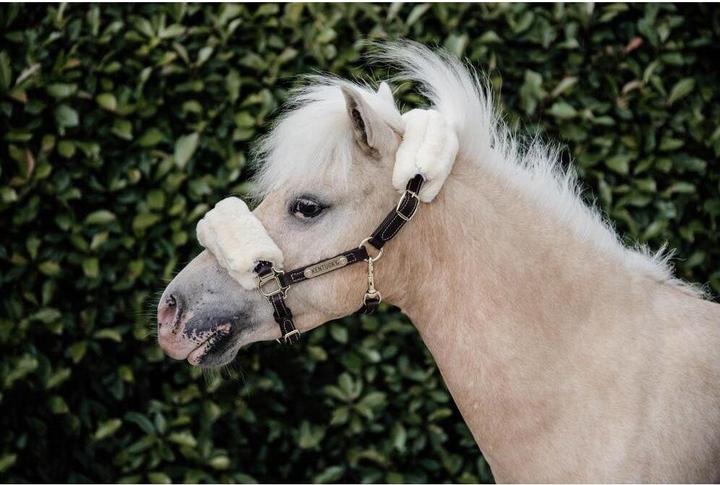 Produktbild Kentucky Horsewear Pony Lederhalfter