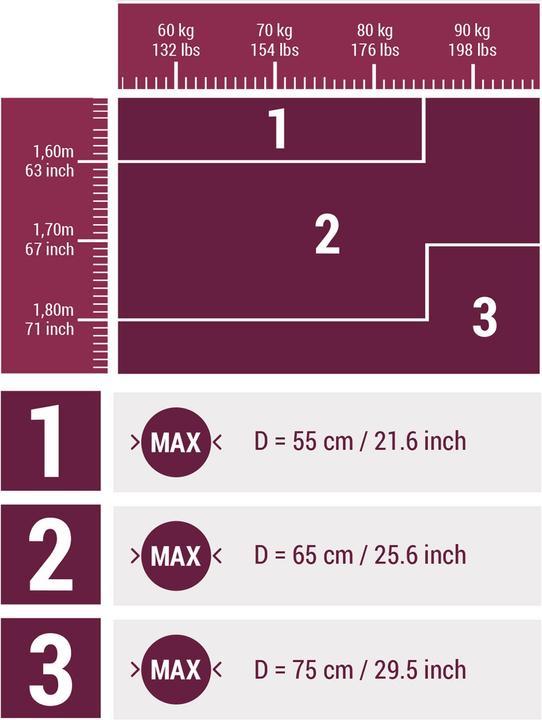 Produktbild Domyos Gym Ball (75 cm)