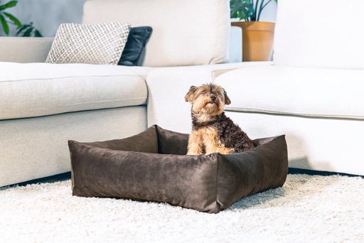 Actual product image Designed by Lotte Ribbed divan bed (Dog)