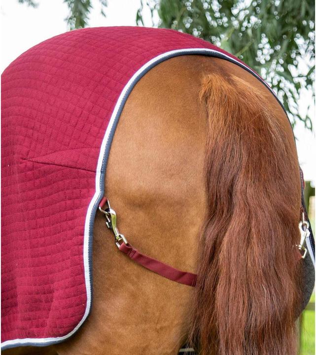 Produktbild Premier Equine Premtex (168 cm)