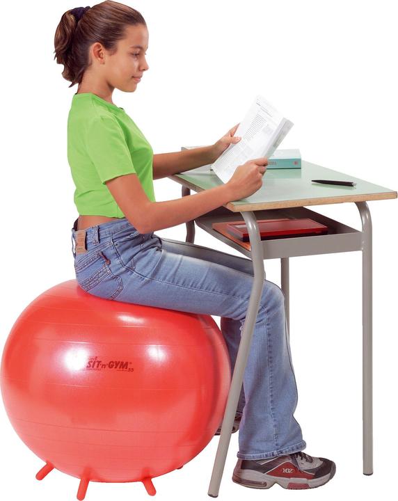 Produktbild Ledraplastic Fitnessball Sit 'n' Gym (55 cm)