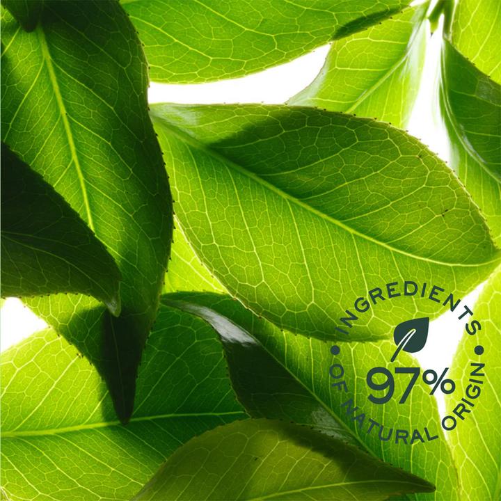 Produktbild Nuxe Rêve de Thé Duo EDeodorant 24h-Schutz erfrischend (Roll-on, 100 ml)