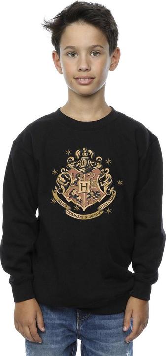Image du produit - Sweat GOLD HOGWART CREST - Garçon (140, 146)