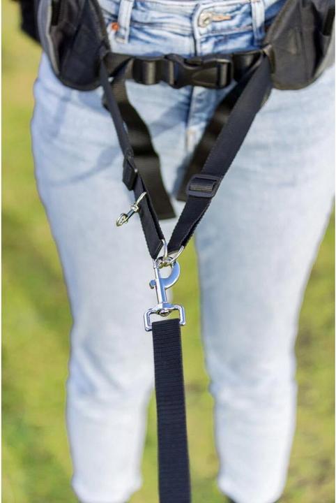 Produktbild Trixie Dog Activity Multi Belt