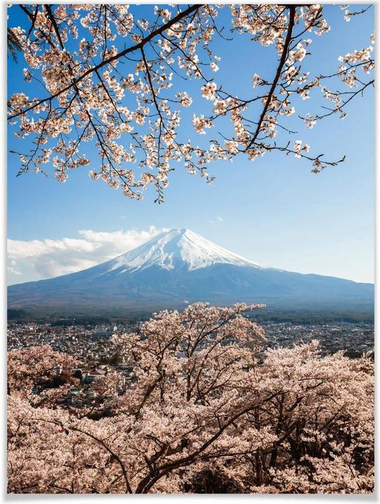 Produktbild Trenddeko Mount Fuji in Japan (50 x 60 cm)