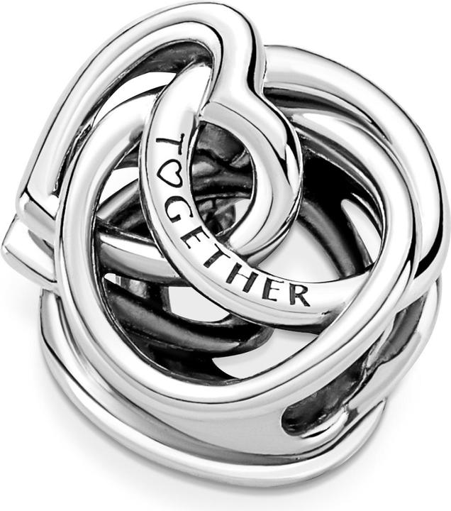 Actual product image Pandora Charm Family Forever (Sterling silver 925)