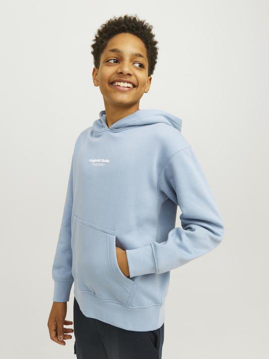Immagine prodotto Jack & Jones Jorvesterbro Sweat Hood Noos Mni (110)