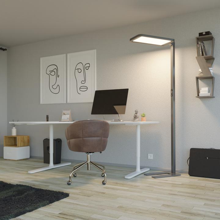 Image du produit Hansa Lampadaire LED Saphir Plus (11000 lm)