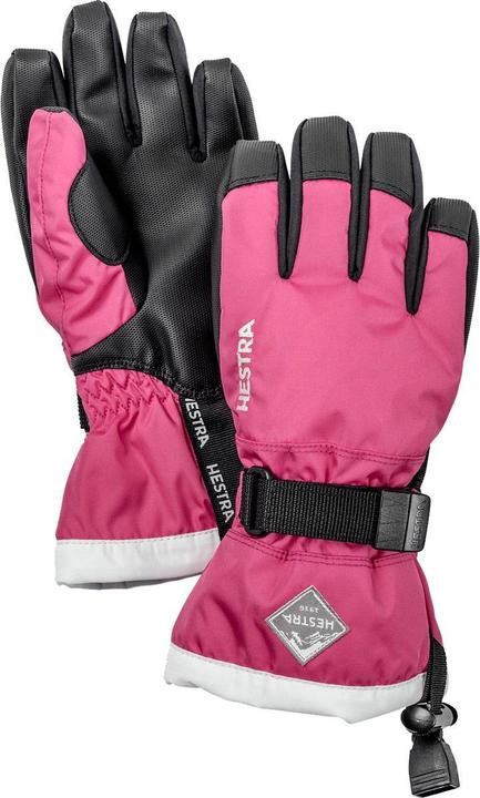 Immagine prodotto Hestra Guanti Gauntlet CZone (4)