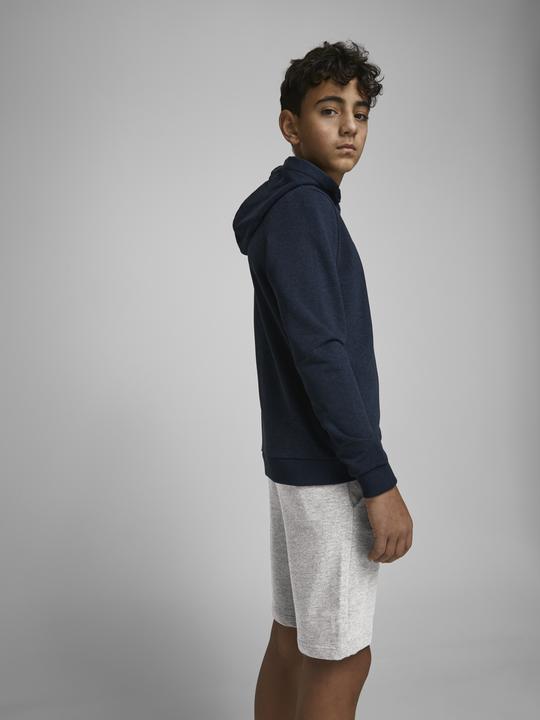 Produktbild Jack & Jones Shorts (140)