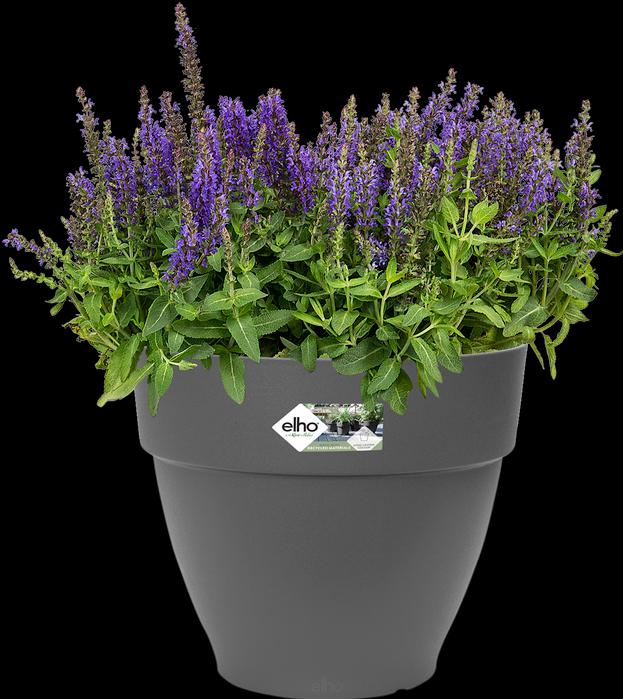 Produktbild Elho Vibia Campana (34.50 cm)