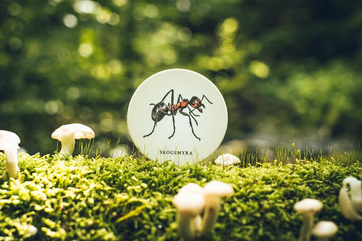 Actual product image Ninja Print Skogen (memory spel)