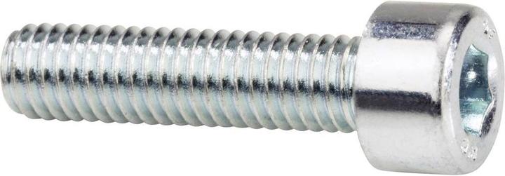 Actual product image Hexagon socket screws M4 20 (100 Screws per piece)