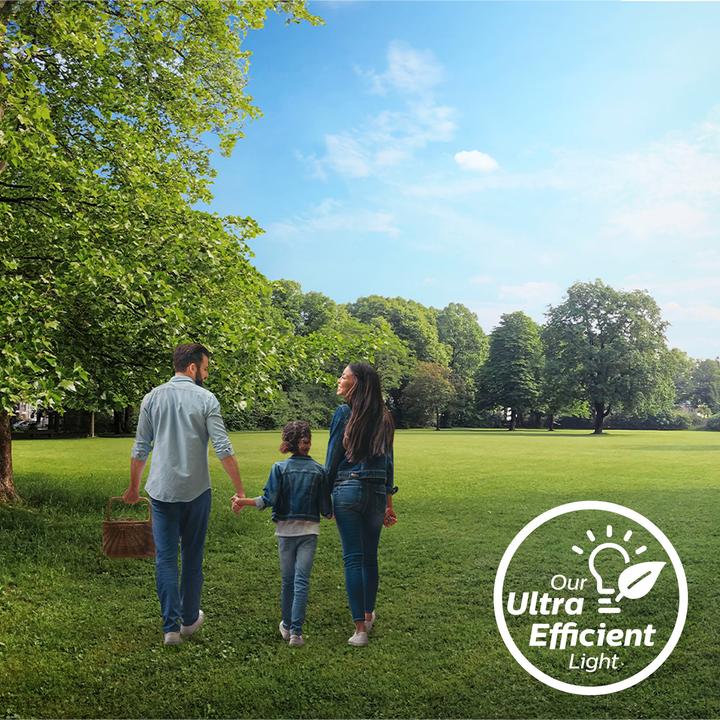 Immagine prodotto Philips LED classico (E14, 2.30 W, 485 lm, 1 x, A)
