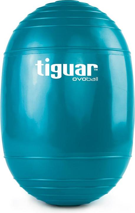 Immagine prodotto Tiguar palla da ginnastica ovoball TI-V001M (16.50 cm)