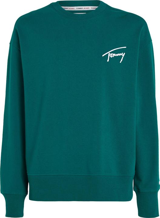 Image du produit Tommy Hilfiger Tommy Jeans Signature Sweater - 97575 (M)